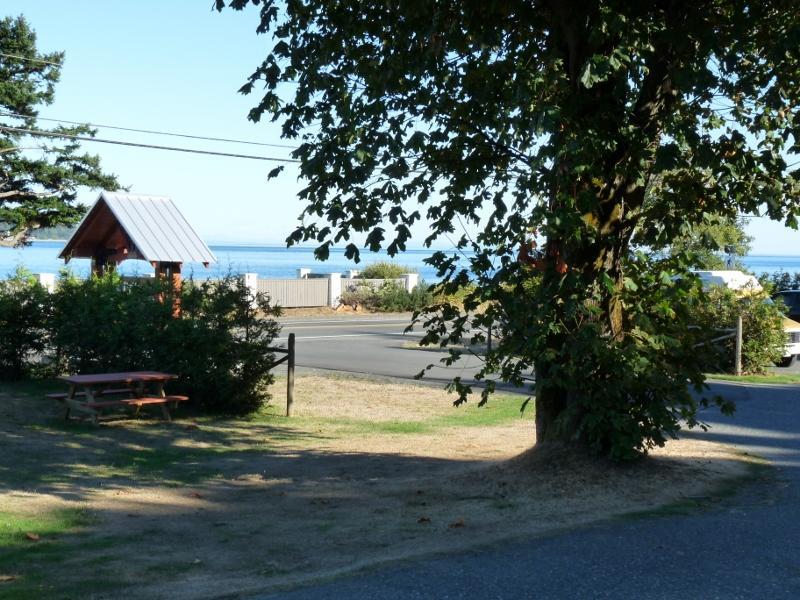 Driftwood By The Sea Inn Campbell River Buitenkant foto